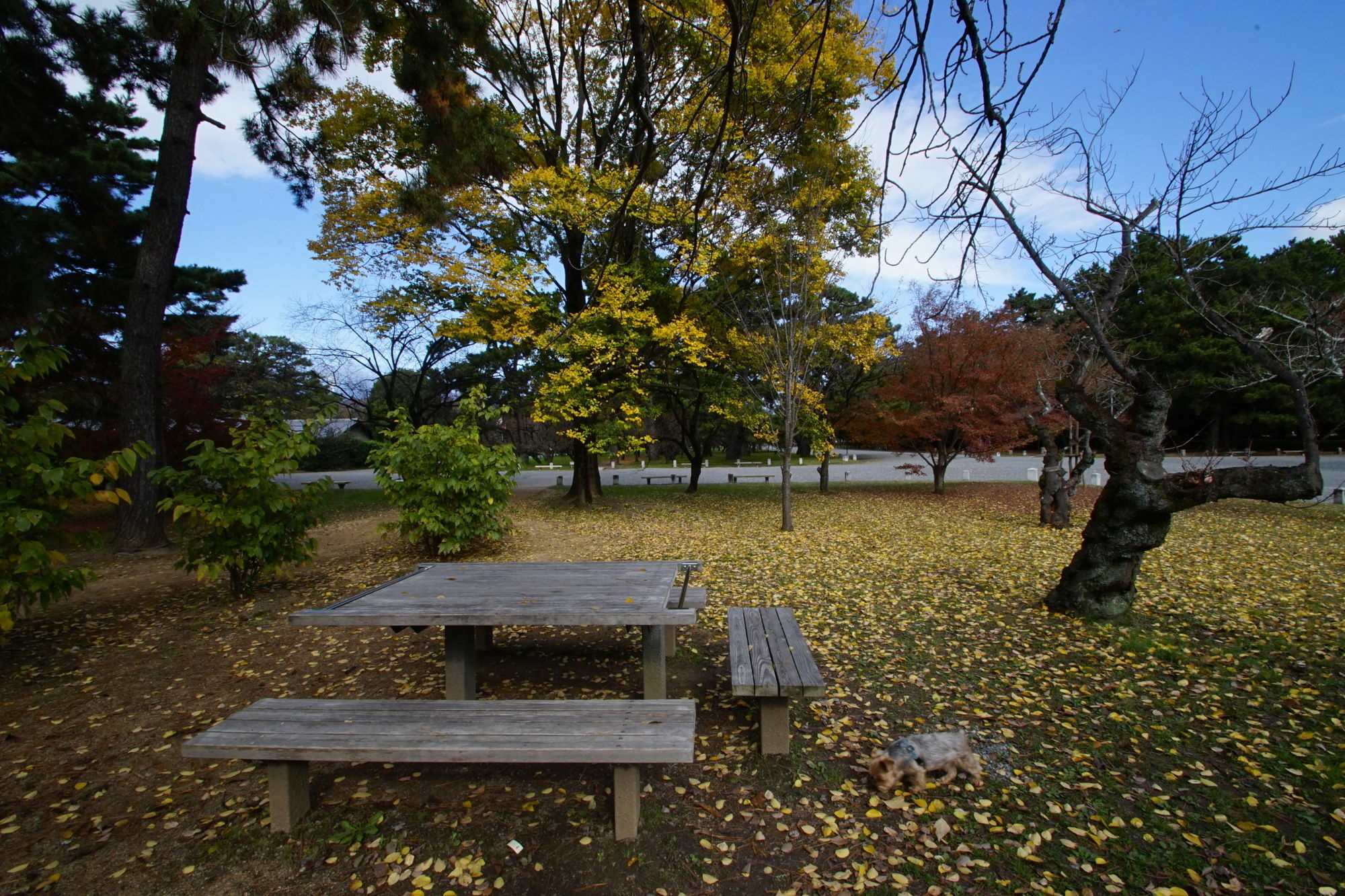 Bird Hostel Kyoto